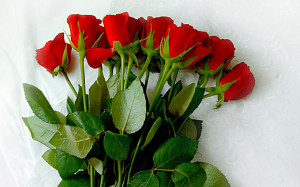 Happy Rose Day 2014. HD Wallpapers and Images. Red Roses