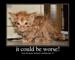 Photo Gallery Could Worse Picture Funny Cartoons