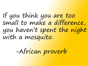 ... make a difference, you haven’t spend the night with a mosquito