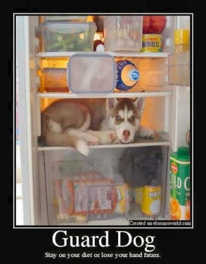 The Diet Guard Dog