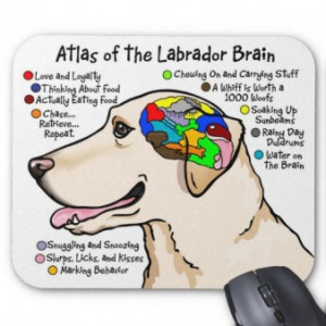 dog-brain-funny-quotes_561037120