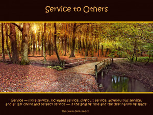 Service To Others Quotes Service to others