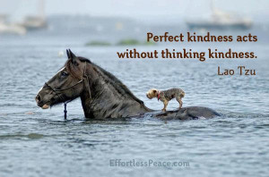 Inspirational Quotes, Pictures and Motivational Thoughts.kindness,lao ...