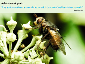 Big Achievement Is Not Because Of Big Event It Is The Small Events ...