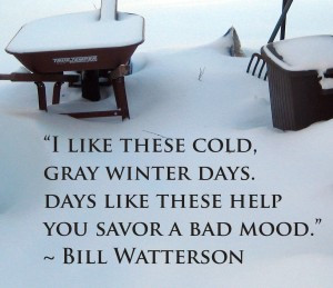 great inspirational winter quote for an overcast bad mood Monday
