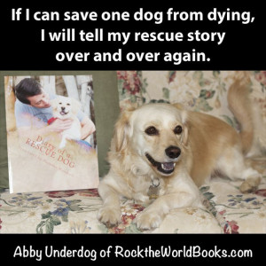 Diary Of A Rescue Dog