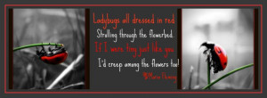 Lady Bug/Power of Quotes