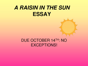 RAISIN IN THE SUN ESSAY REVISIONS Quote