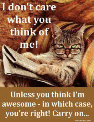Funny Quotes-I don’t care what you think of me!