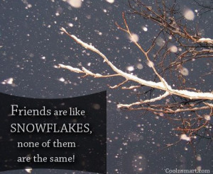 Snowflake Quotes And Sayings Friends are like snowflakes,