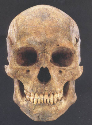 Homo Sapiens Ser Humano...