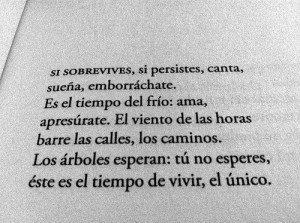 Found on 25.media.tumblr.com