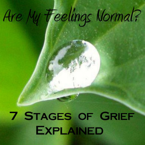 Grief Support Quotes The 7 stages of grief.