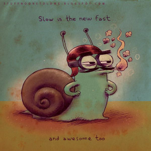 stuff-no-one-told-me quotes chicquero slow: SLOW IS THE NEW FAST ...