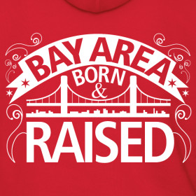 bay area logo