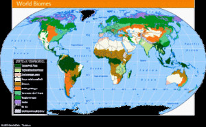 Earth Biomes Global Map