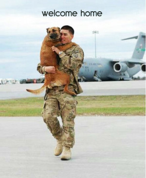 dog welcomes military dad home