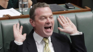 ... Business Christopher Pyne reacts during an answer by David Bradbury