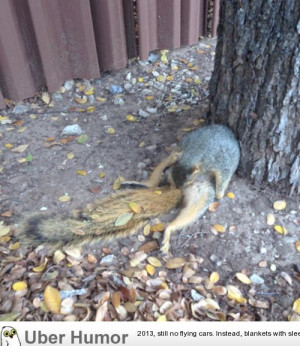 Just a squirrel trying to bust a nut guys, nothing new.