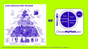 Native American Food Pyramid