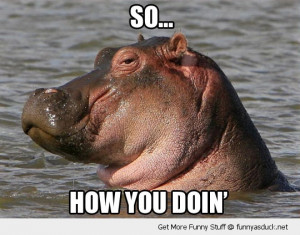 how you doing hippo animal joey friends funny pics pictures pic ...