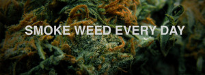 weed every day facebook cover Smoke Weed Every Day FB Cover