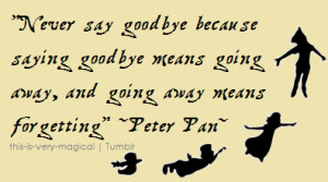 Goodbye Is the Hardest because You Leave with Memories ~ Goodbye Quote