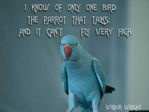 Tumblr Birds Flying Quotes Nice birds quotes photos for
