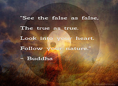 Buddha Quote 54 (h.koppdelaney) Tags: wallpaper art nature freedom ...