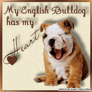 Pets English Bulldog Heart quote