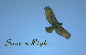 Soar High...your goal thesky.
