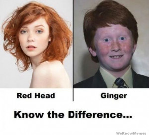 Red Head Vs Ginger Know The Difference
