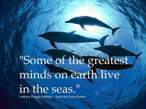 Some of the greatest minds on earth live in the seas
