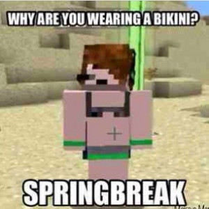 weeks ago - SPRING BREAK! {#deadlox #skydoesminecraft #minecraft # ...