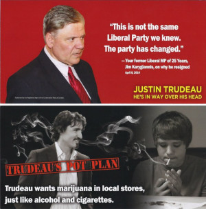 ... former Liberal MP thinks party leader wants teens to smoke pot