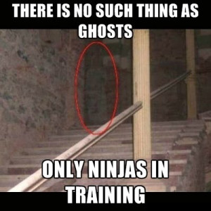 Related There Is No Such Thing As Ghosts – Only Ninjas In Training