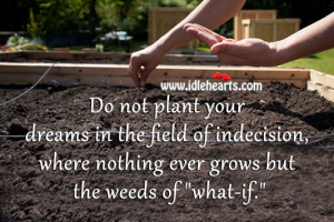 Do not plant your dreams in the field of indecision, where nothing ...