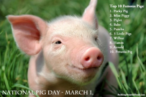 National Pig Day: Pig symbolism, facts & trivia just for you, Babe