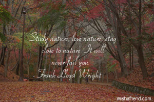 nature-Study nature, love nature, stay close to nature. It will never ...