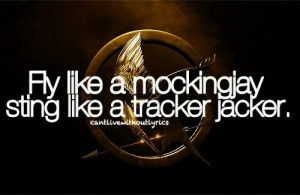 Hunger Games, Catching Fire, Quotes, Book, Hunger Games Mockingjay ...