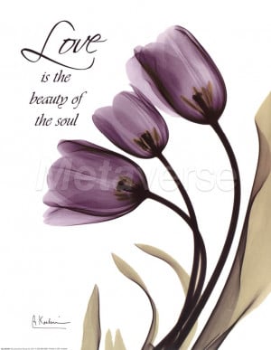 Blackberry Tulips, Love by Albert Koetsier art print
