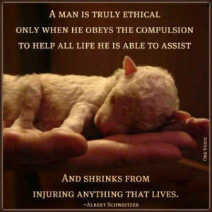 ... cruelty with which we treat the animals animals suffer as much as