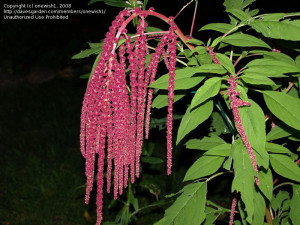 Heartbreak Quotes Gif Credited