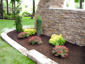 Shrubs And Bushes For Landscaping Andamp
