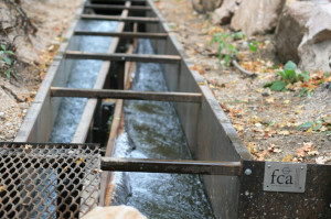 222.3 river miles opened