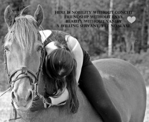 Beautiful Horse Pictures With Quotes