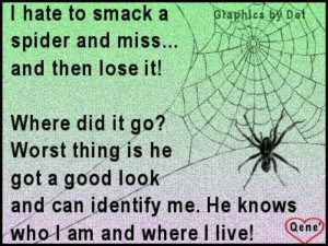 png spider web quotes funny quotes http khaanz com that moment when ...