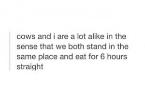 quotes, eat, food, tumblr, eating, quote, funny