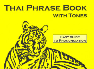 Download the Thai Mp3 Software Application