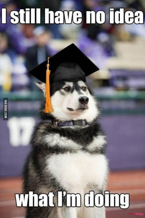 funny high school graduation quotes image which coming from media ...